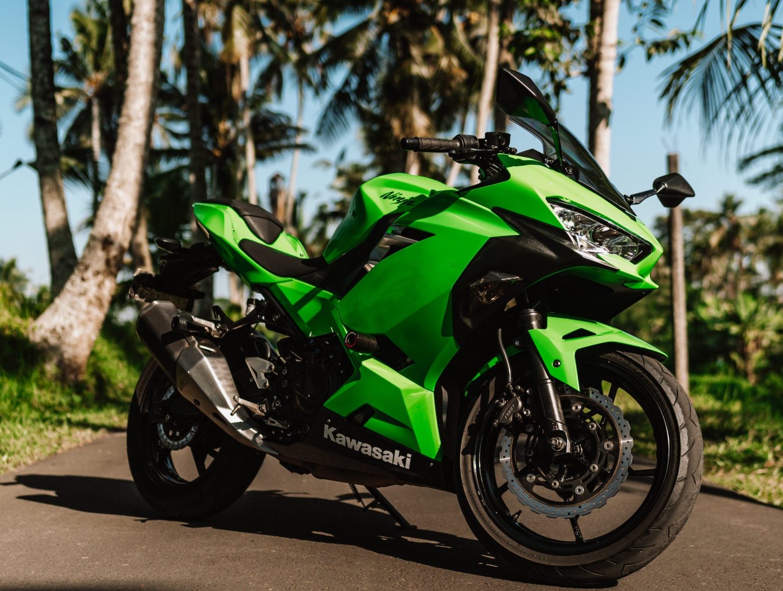 Kawasaki Ninja 250 Green