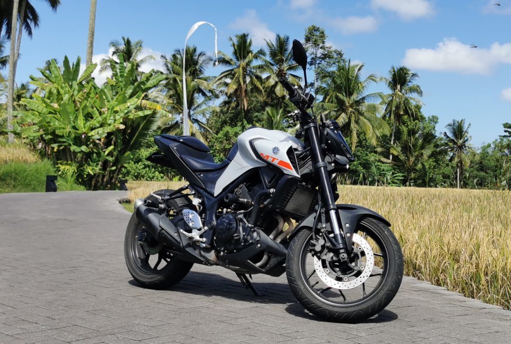 Yamaha MT25 Grey