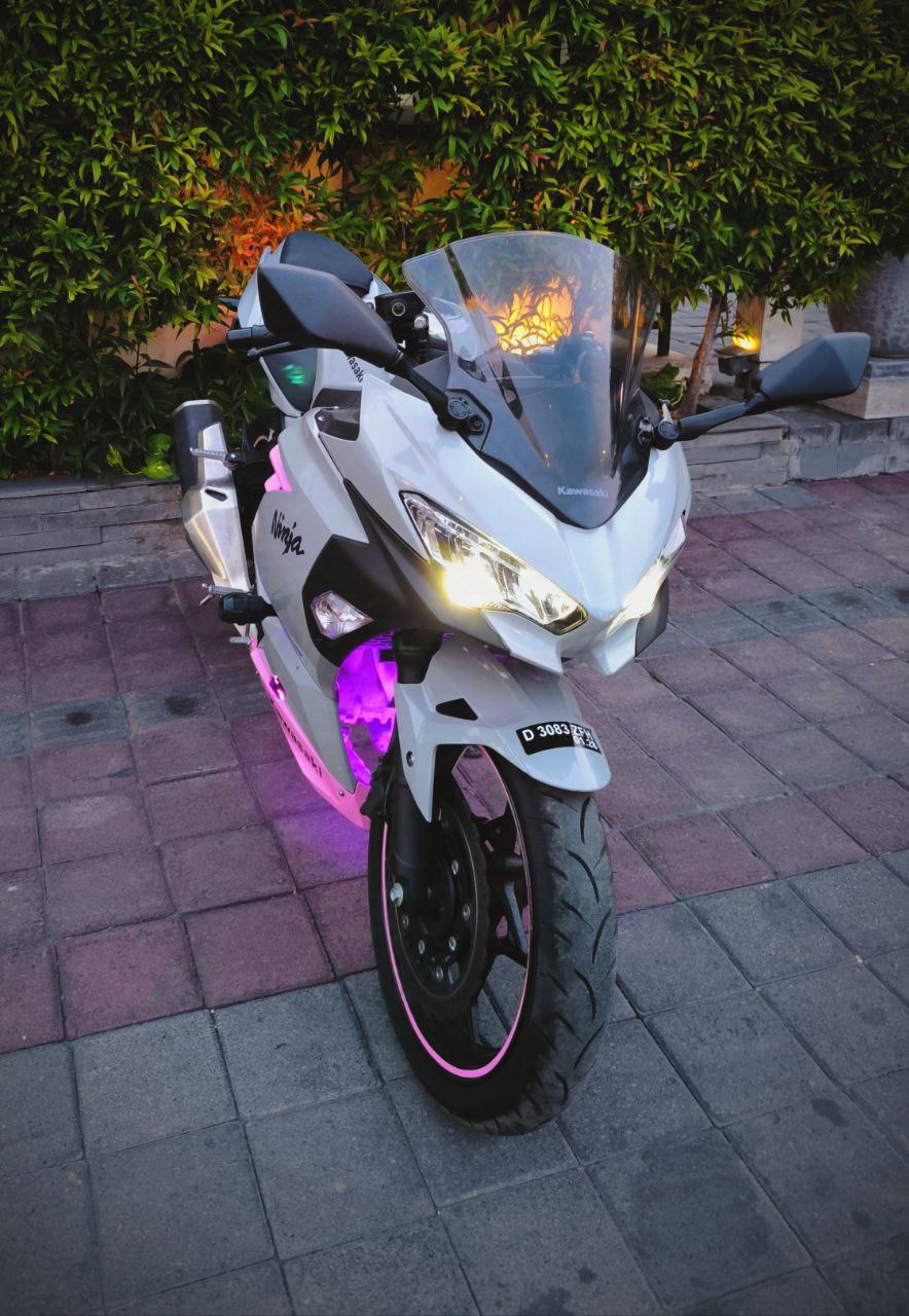 Kawasaki Ninja 250 ABS Grey-pink