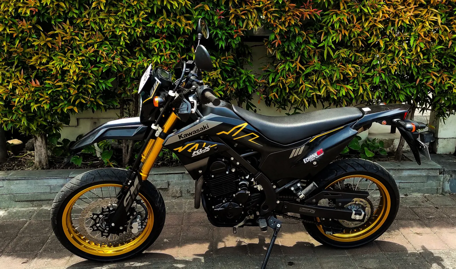 Kawasaki KLX230 SM SE OffRoad
