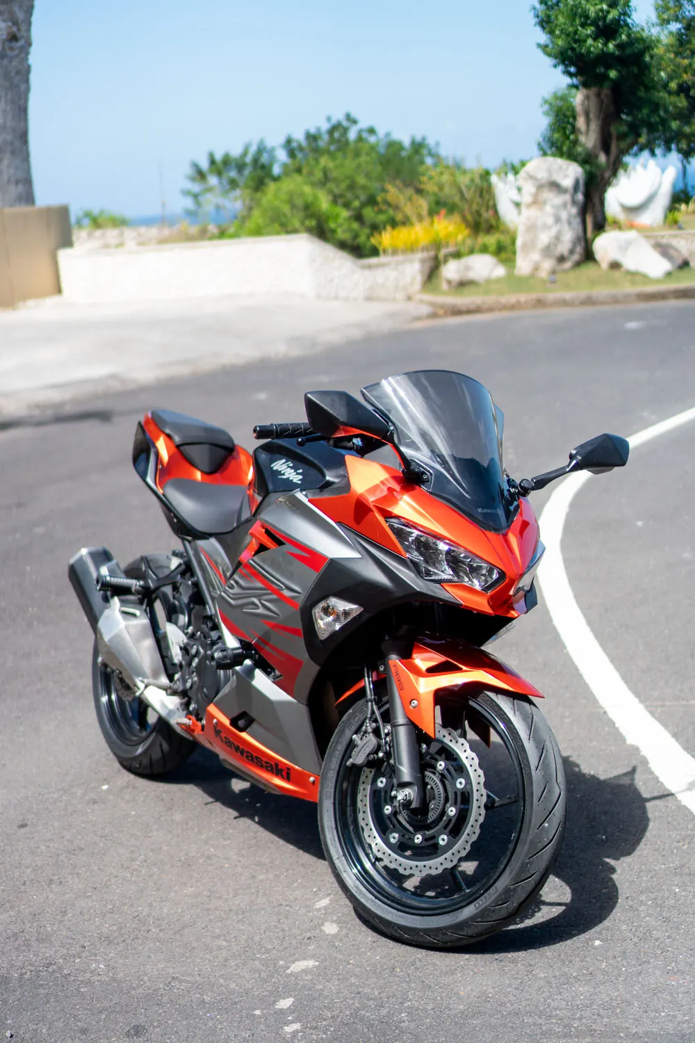 Kawasaki Ninja 250 ABS 4