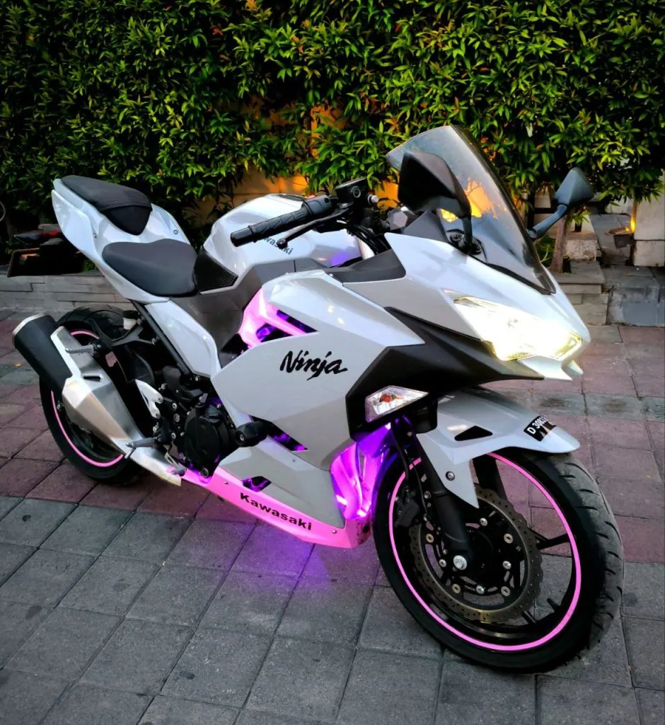 Kawasaki Ninja 250 ABS Grey pink 1 940x1024 1