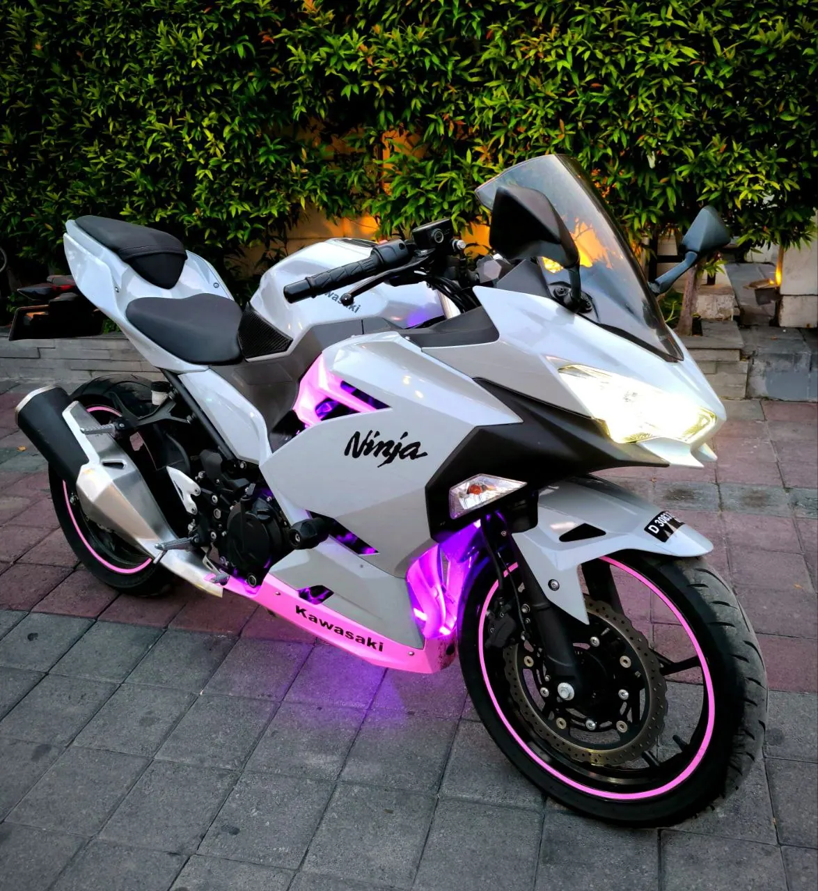 Kawasaki Ninja 250 ABS Grey pink 1