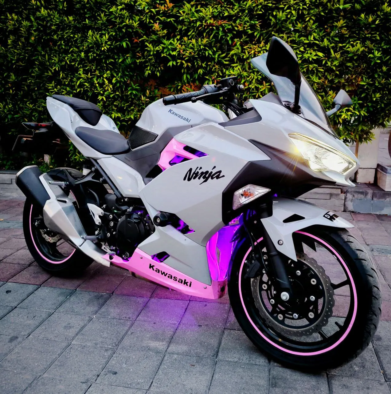 Kawasaki Ninja 250 ABS Grey pink 2