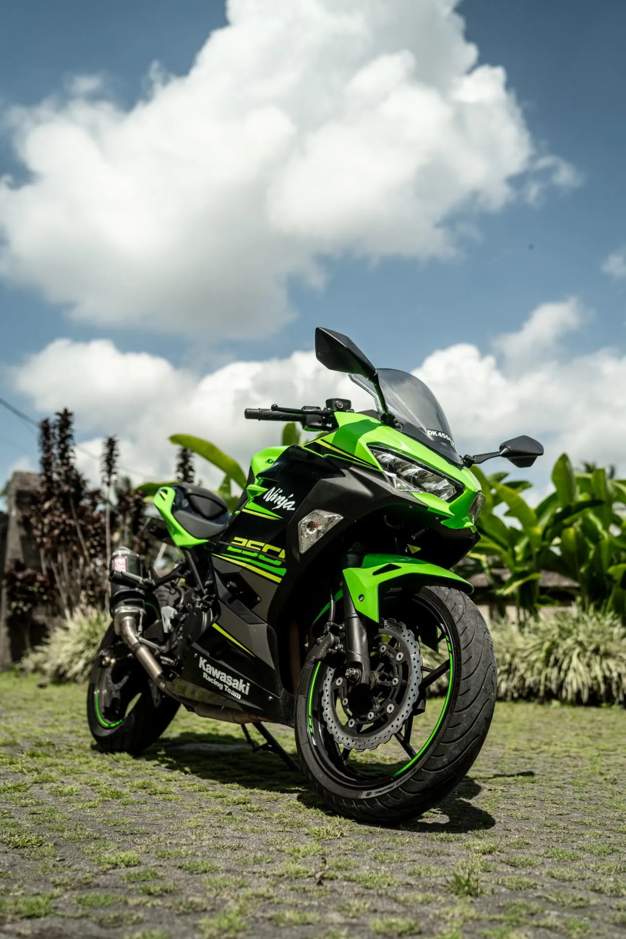 Kawasaki Ninja 250 Fi Special Edition 1