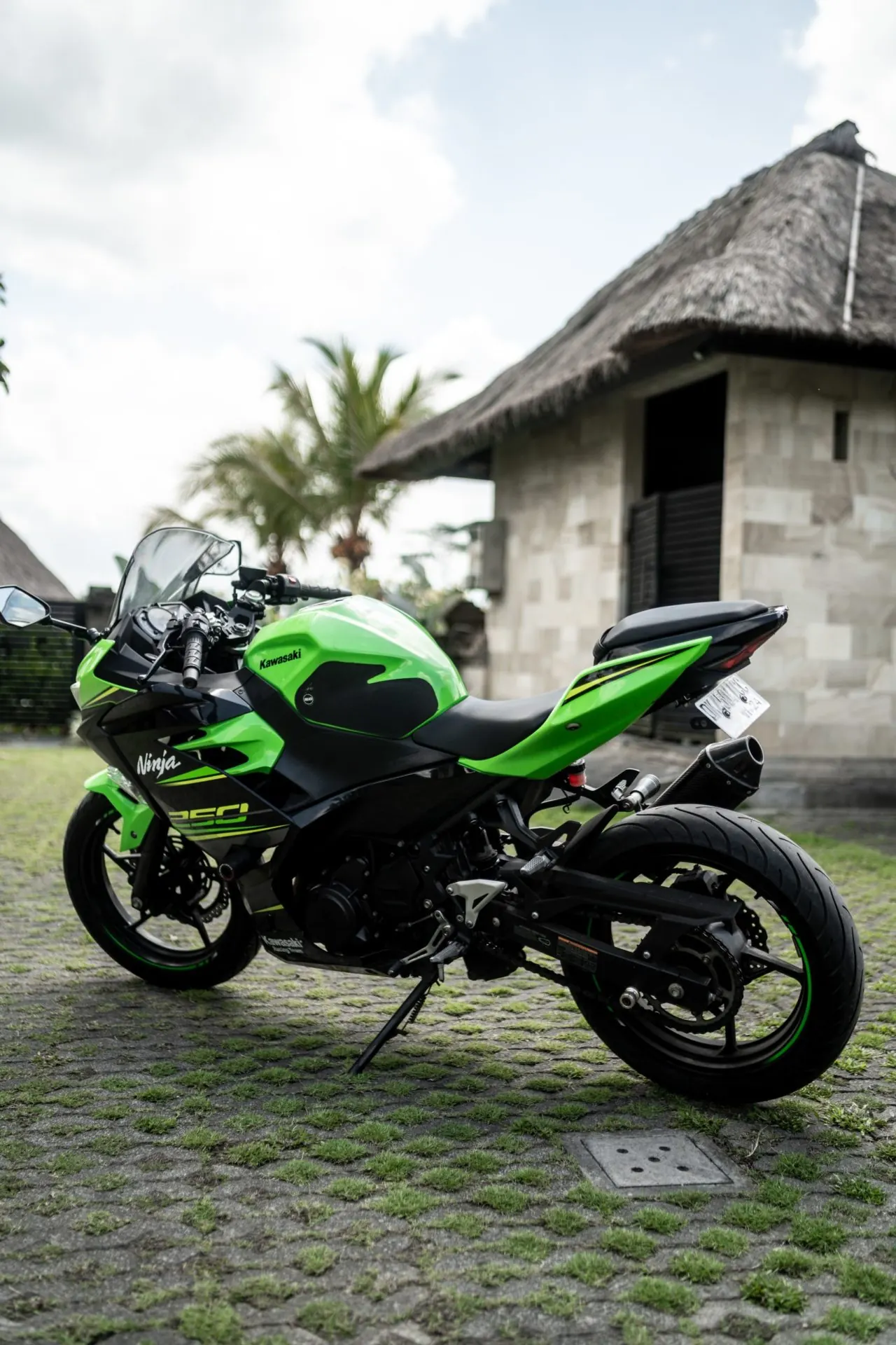 Kawasaki Ninja 250 Fi Special Edition 2