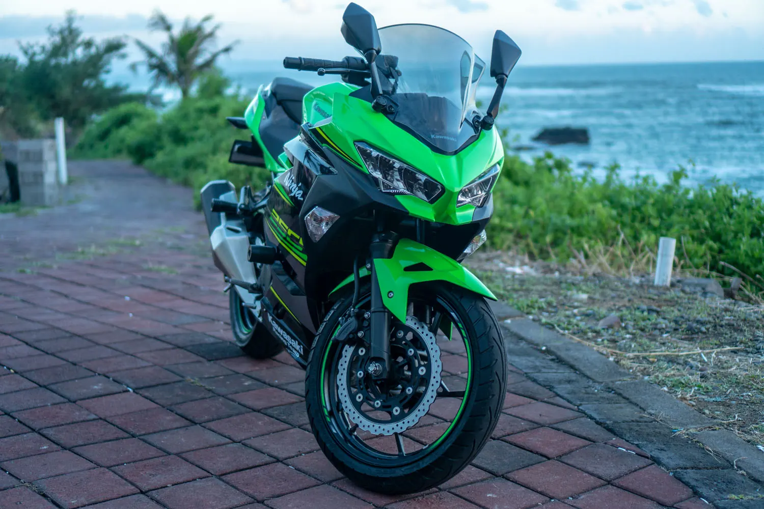 Kawasaki Ninja 250 Fi Special Edition 3