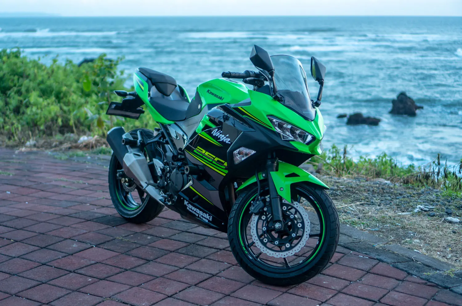 Kawasaki Ninja 250 Fi Special Edition 6