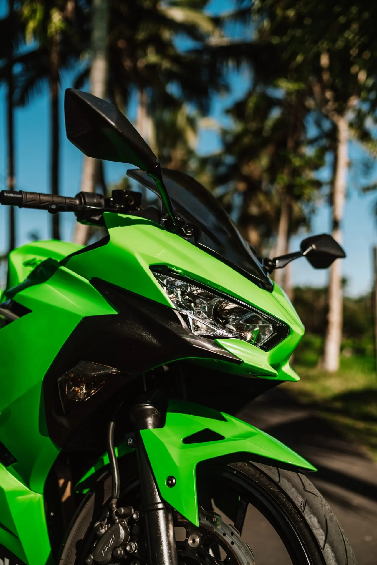Kawasaki Ninja 250 Green 2