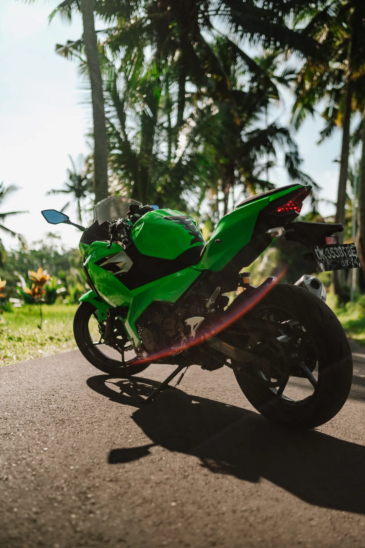 Kawasaki Ninja 250 Green 3