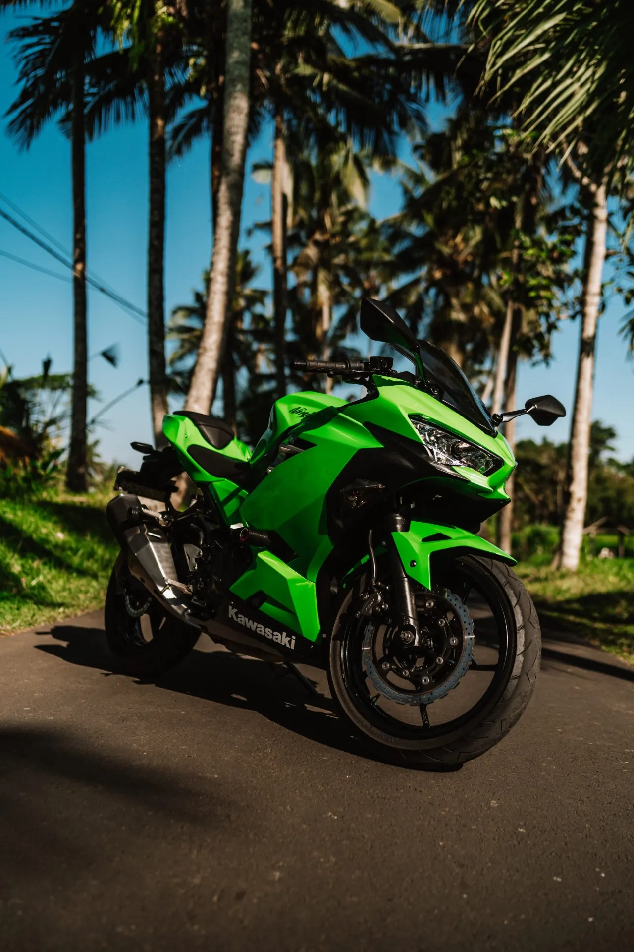 Kawasaki Ninja 250 Green