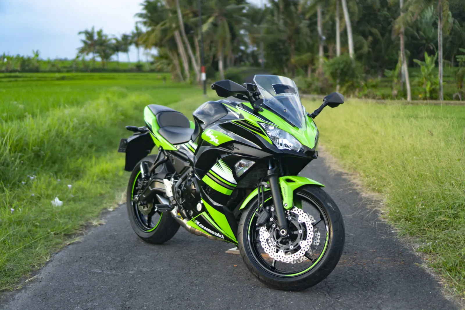 Kawasaki Ninja 650 ABS Brahma 1