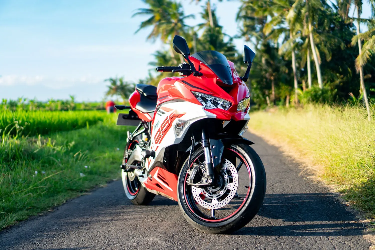 Kawasaki Ninja ZX25R ABS 4 cylinders Red 2