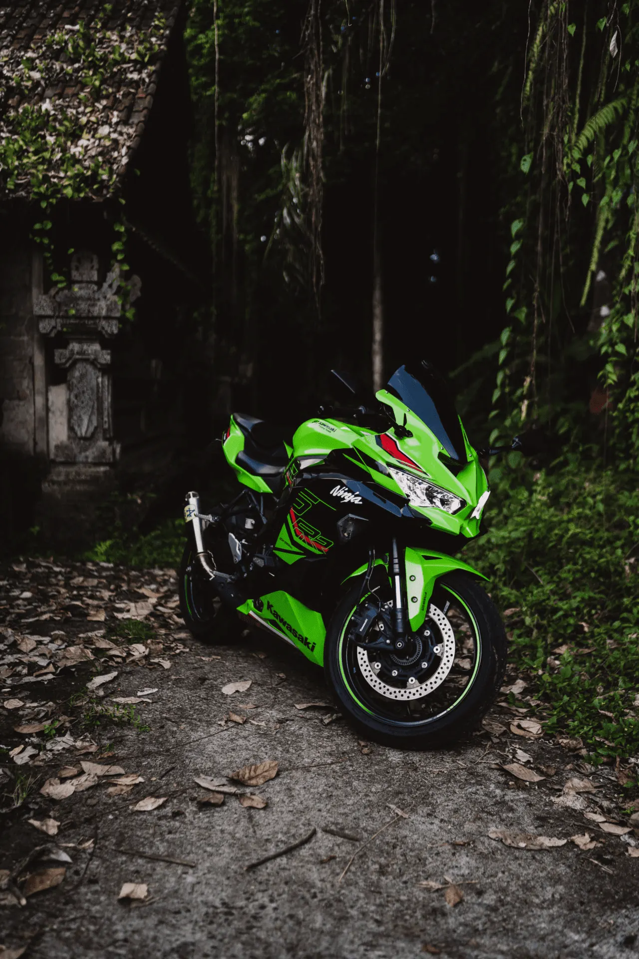 Kawasaki Ninja ZX25RR 1