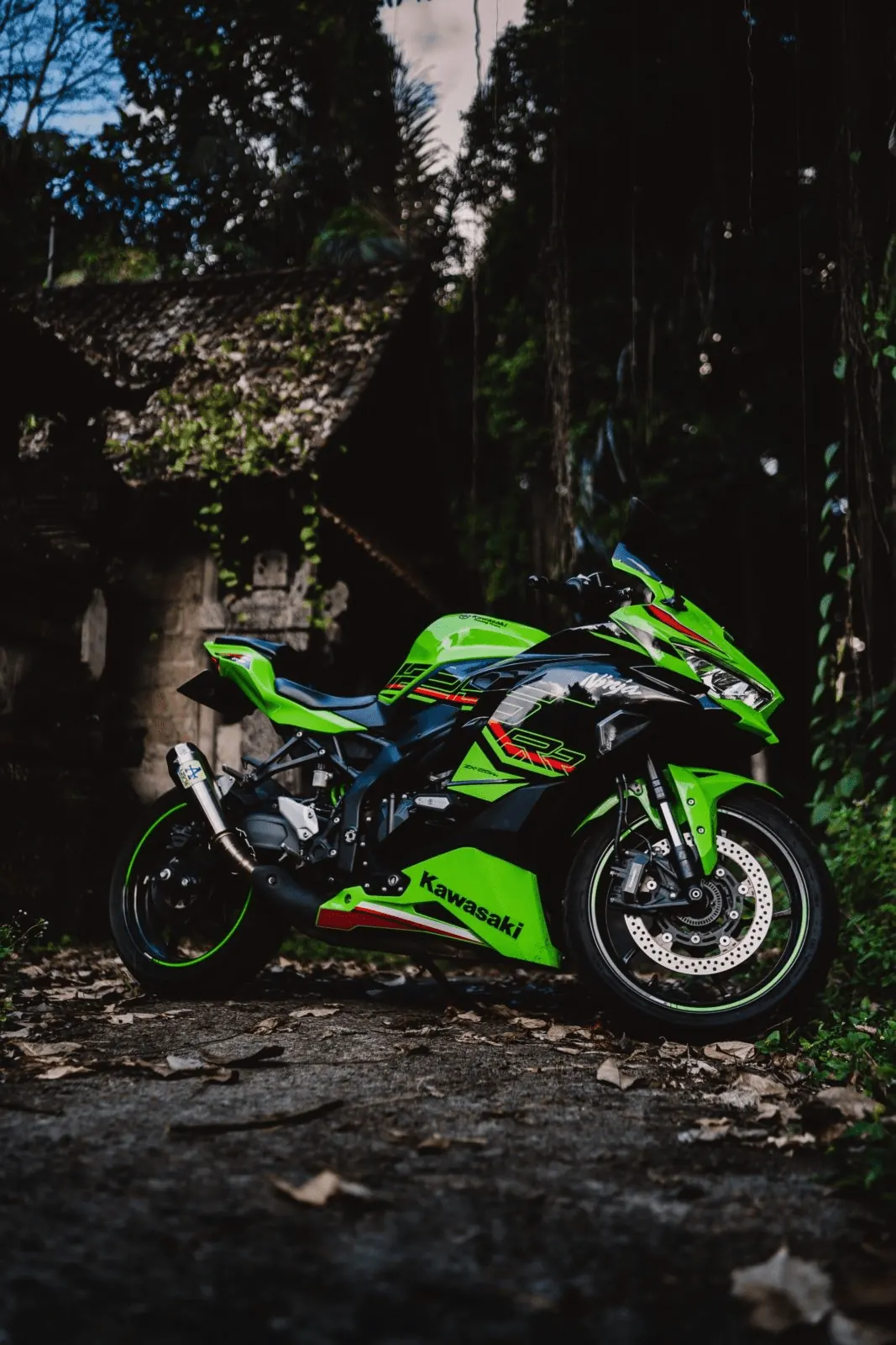 Kawasaki Ninja ZX25RR 2
