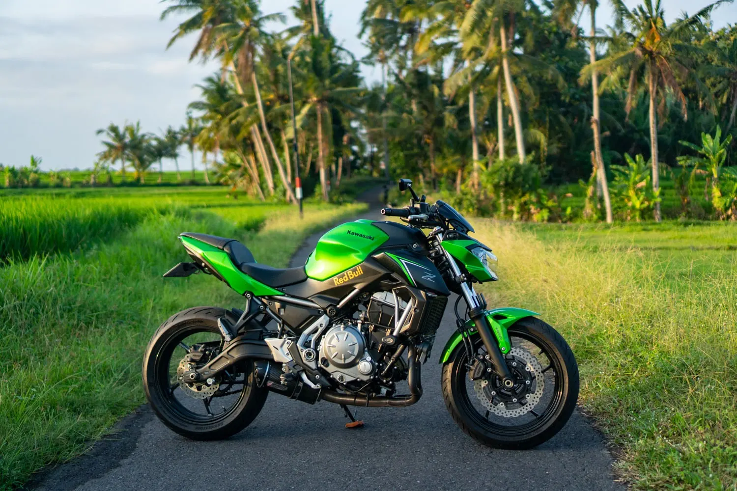 Kawasaki Z650 ABS