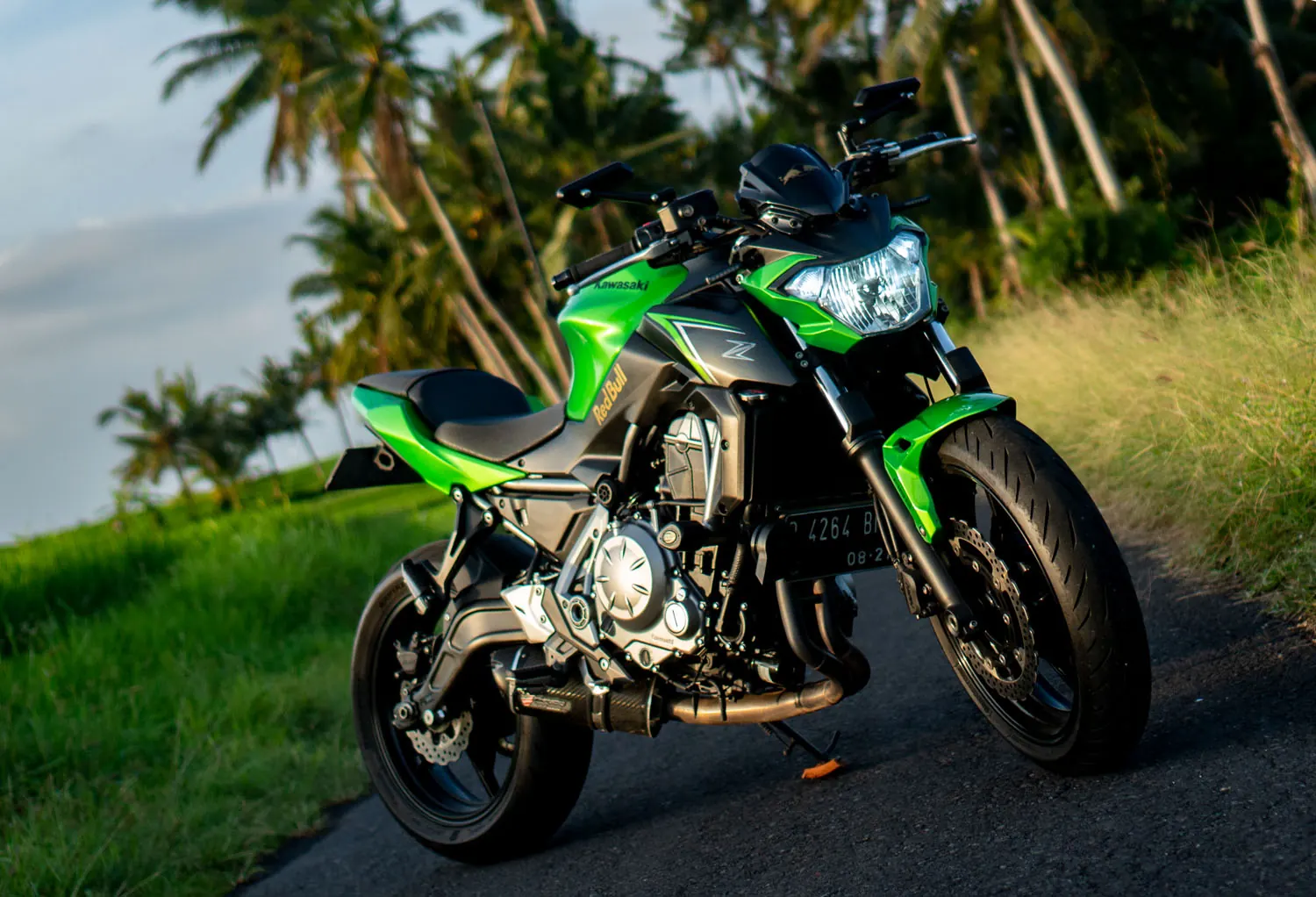 Kawasaki Z650 ABS 2