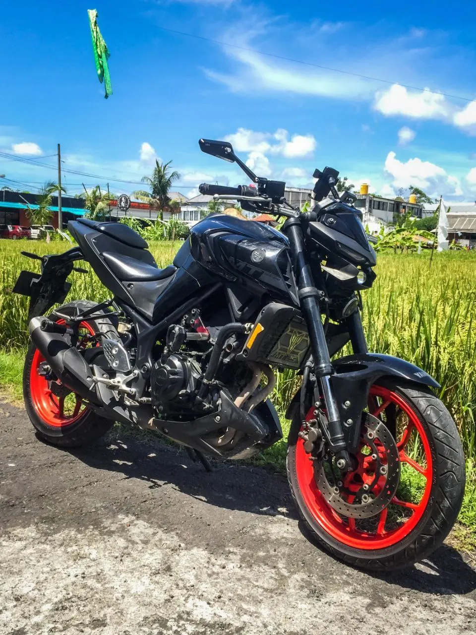 Yamaha MT 25