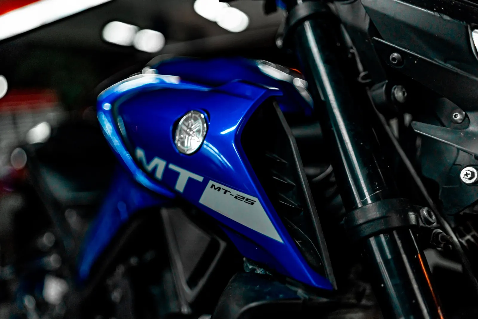 Yamaha MT25 Blue 4
