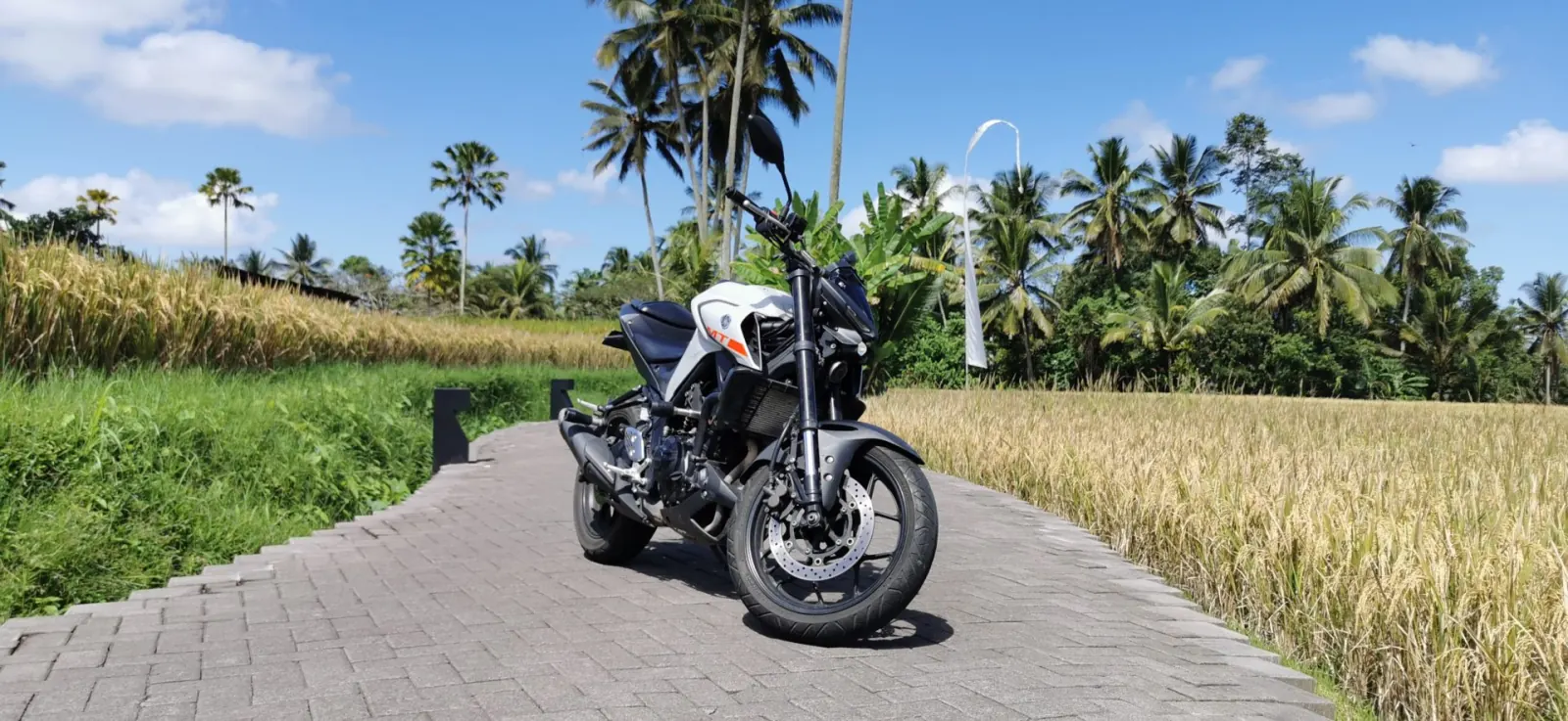 Yamaha MT25 Grey