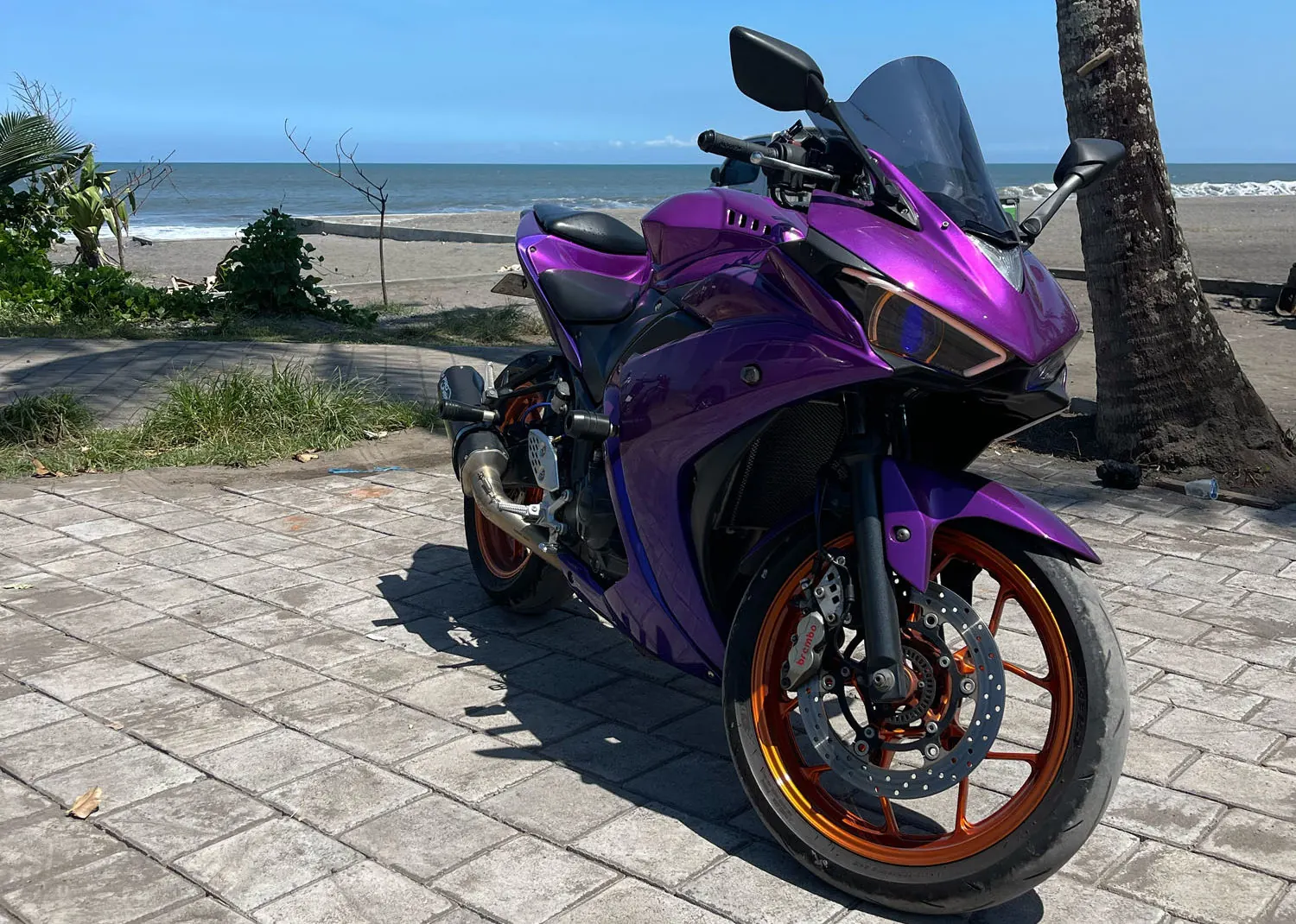 Yamaha R25 250cc ABS Violent 3