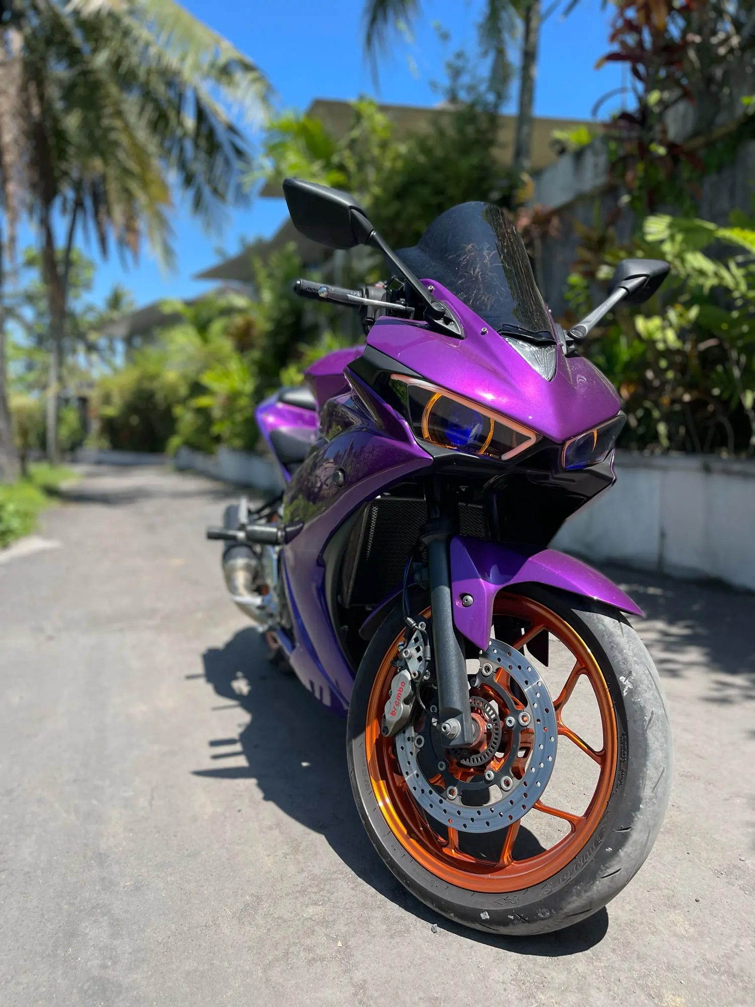 Yamaha R25 250cc ABS Violent 4