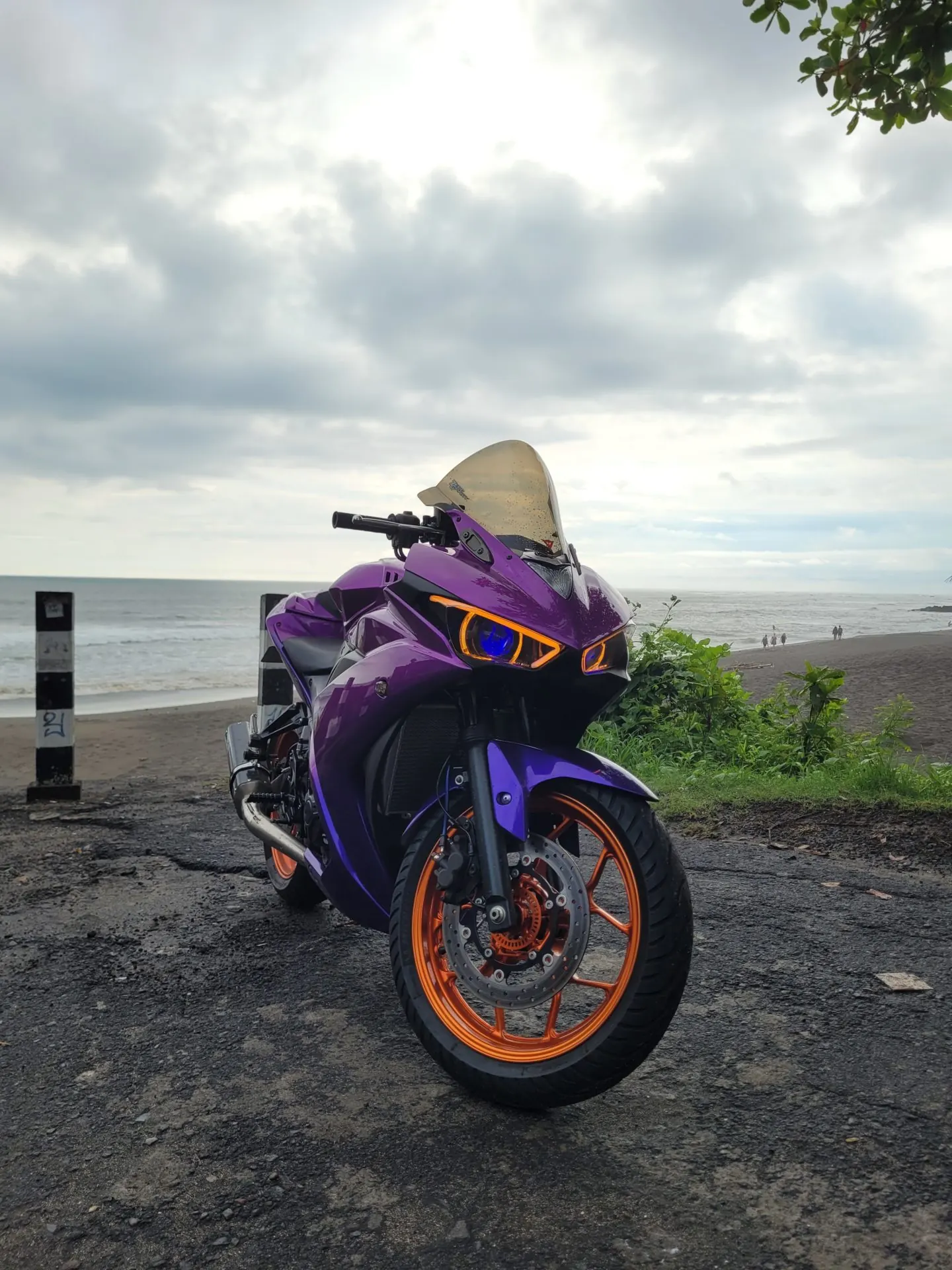 Yamaha R25 250cc ABS Violent 6