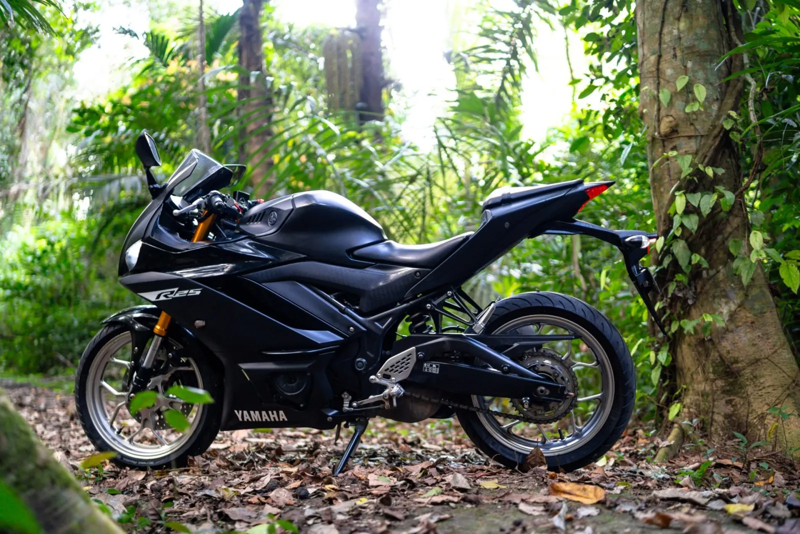 Yamaha R25 ABS Black 4