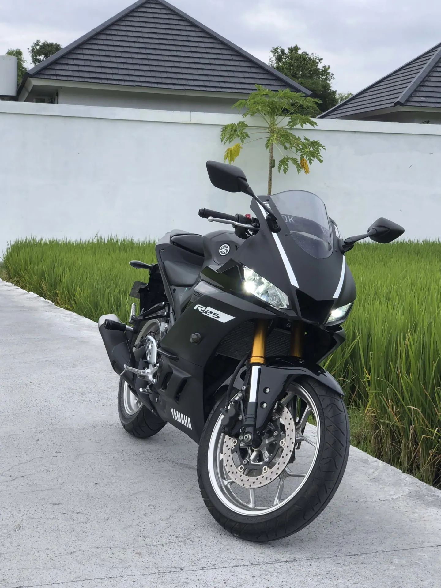 Yamaha R25 ABS Black 5