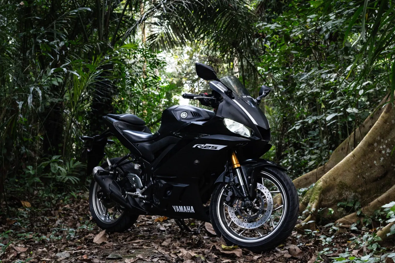 Yamaha R25 ABS Black