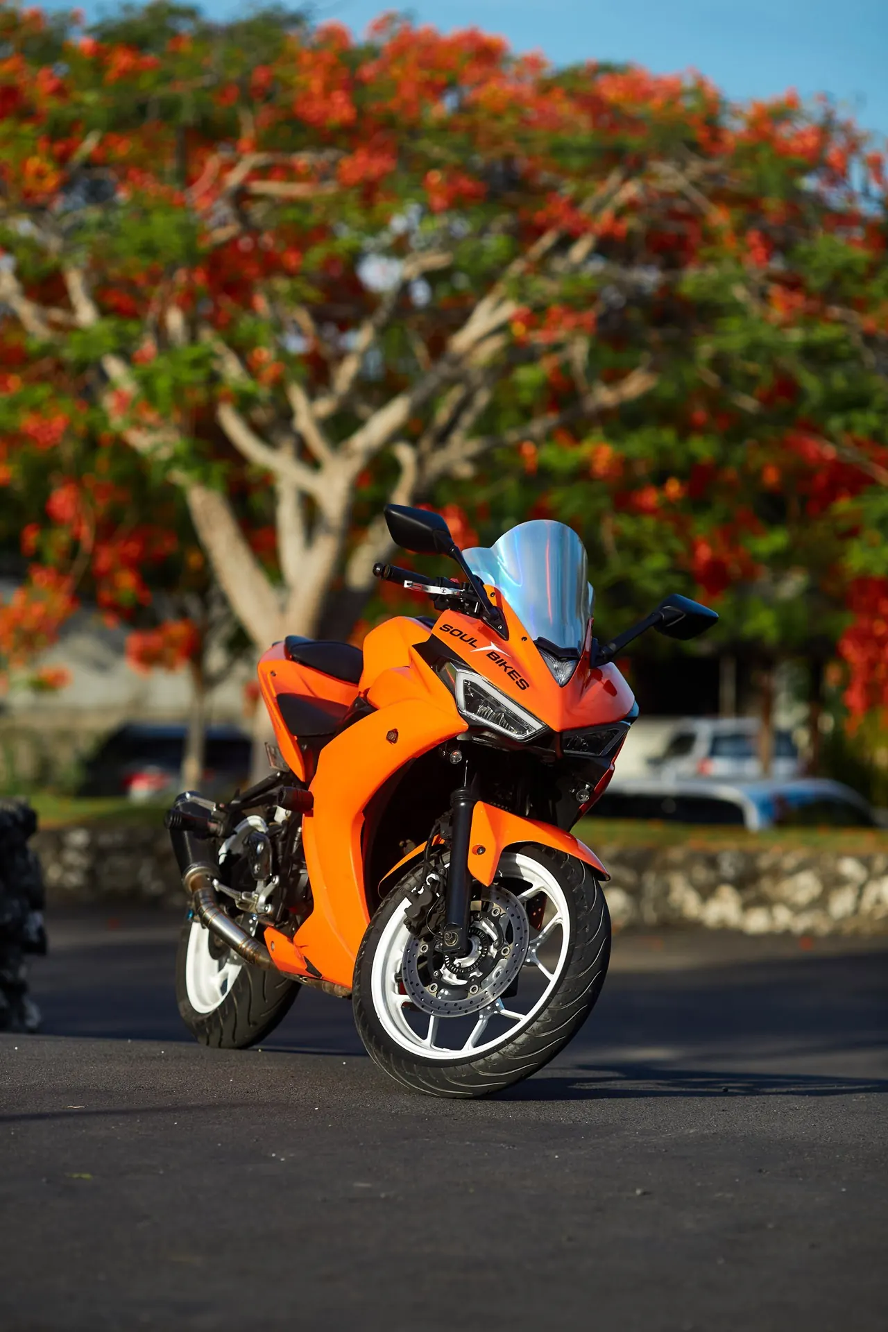 R25orange2