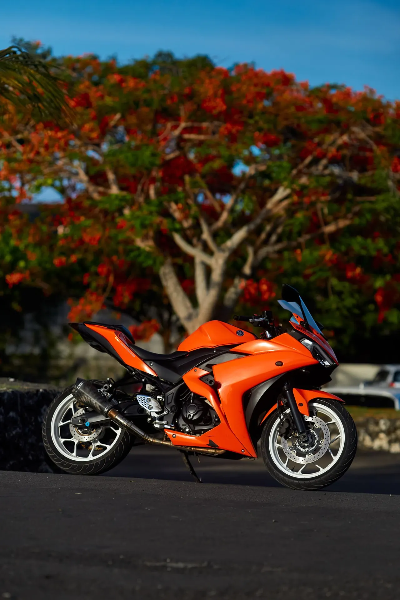 R25orange5