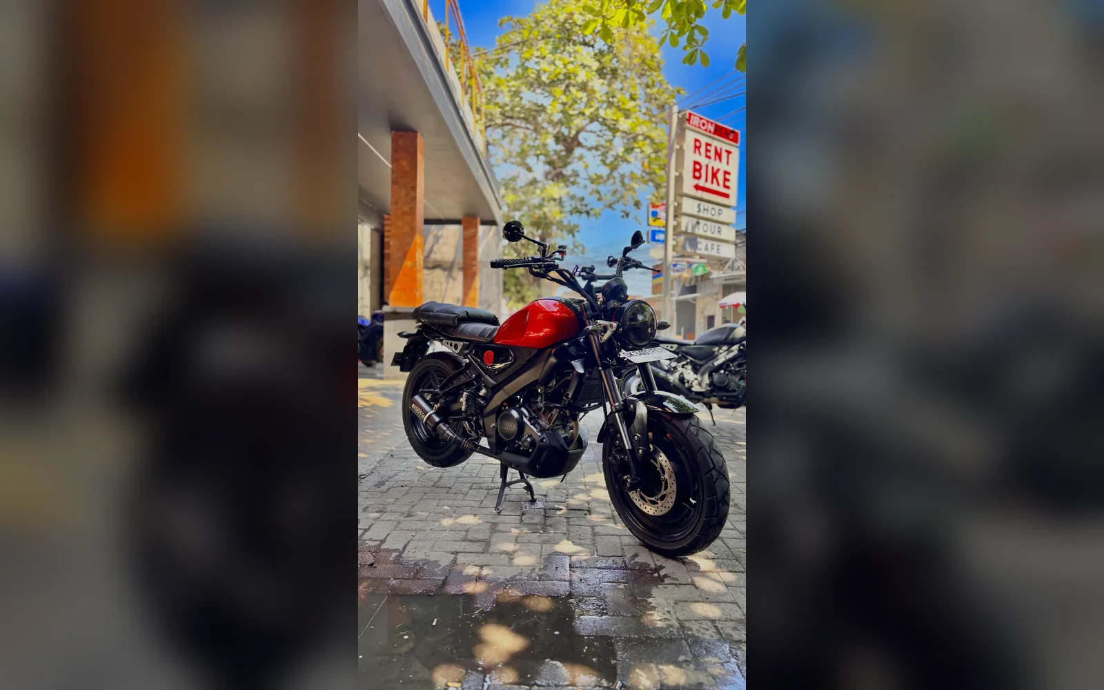 Yamaha xsr 155 custom red 03 wide